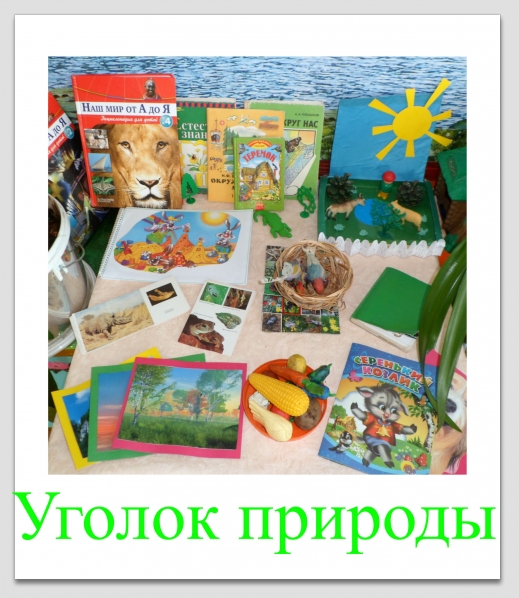 Природный уголок" (4 фото). Воспитателям детских садов, школьным учителям и педа
