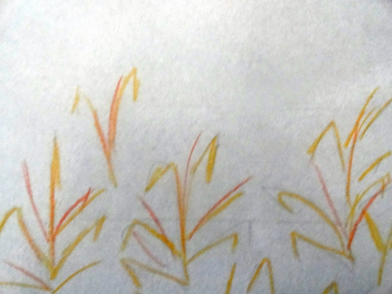 Золотом заполыхала листва место сбора. Детский рисунок озимь. Рисунок детский зеленеет озимь на полях. Вянет и желтеет травка на лугах картинка нарисованная карандашом. Вянет и желтеет травка на лугах нарисовать иллюстрация.