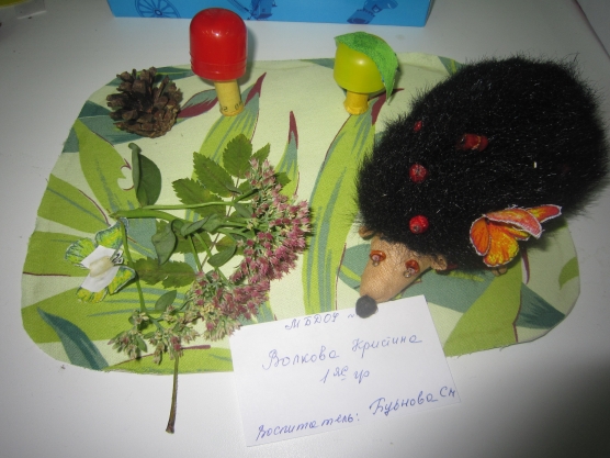 Смотреть фотографию №2 Фото №2 Публикация Осенняя пора размещена в разделах Осень
