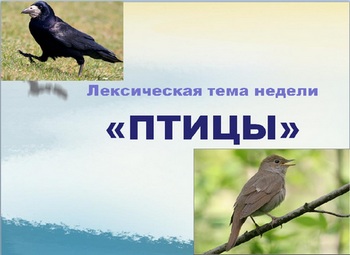 Презентация по лексической теме недели «Птицы» Фото Презентация по лексической теме недели «Птицы»