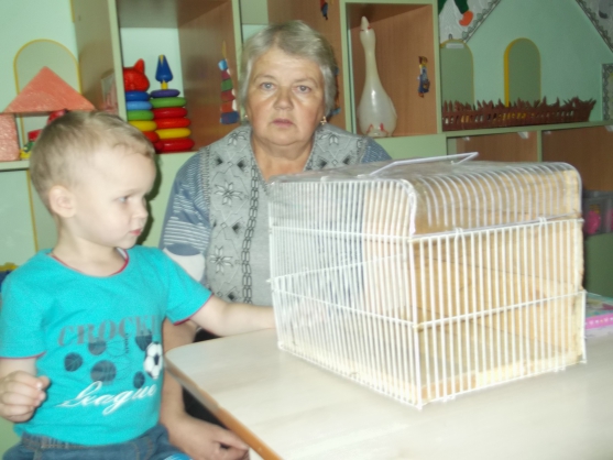 Смотреть фотографию №2 Фото №2 С участием родителей и детей