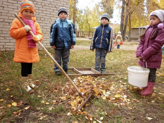 Трудовое воспитание картинки