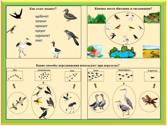 Календарное планирование в подготовительной перелетные птицы. Задания по теме перелётные птицы для дошкольников. Задание перелетные птицы старшая группа. Птицы задания для дошкольников. Детям о перелетных птицах в подготовительной группе.