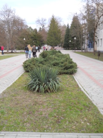 Смотреть фотографию №19 Фото №19 Публикация Воскресная прогулка размещена в разделах Конспекты занятий