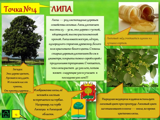 Презентация экологическая тропа в школе