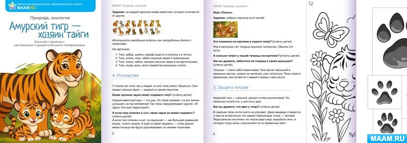 ���������� �������� ��������� �������� ������� ��������� ���� � ������ �����