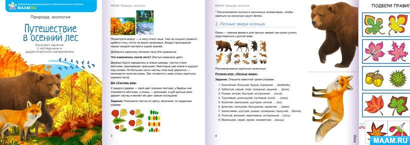 ���������� �������� ��������� �������� ������� ������������ � ������� ���