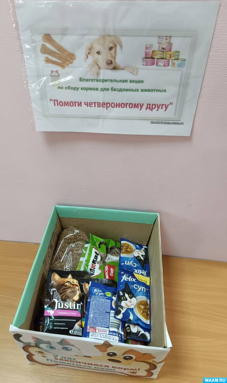 Смотреть фотографию №2 Фото №2 Социальные акции для детей акции по сбору кормов для бездомных животных Помоги четвероногому другу