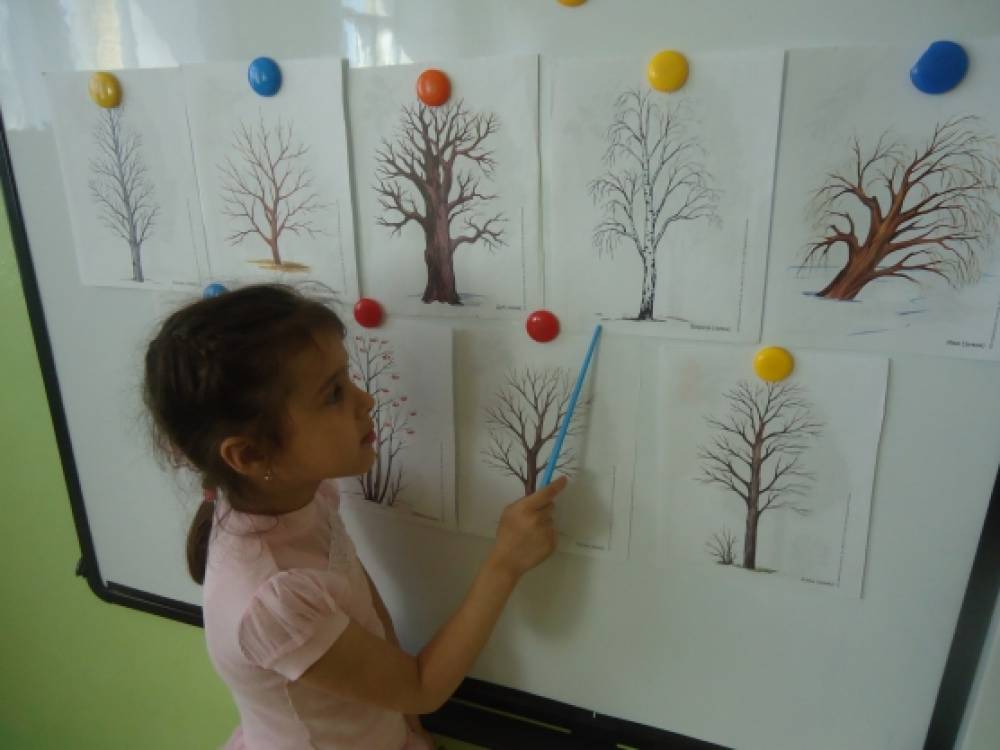 Занятие деревья подготовительная группа. Рисование дерева в старшей группе. Рисование деревьев в подготовительной группе. Занятие о деревьях в старшей группе. Рисование дерева в младшей группе.