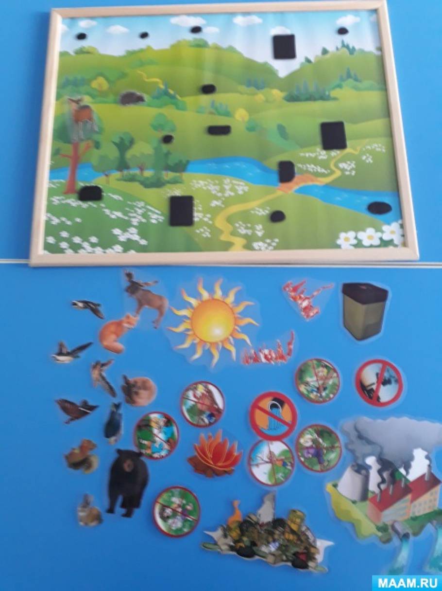 Экологические игры для дошкольников в картинках