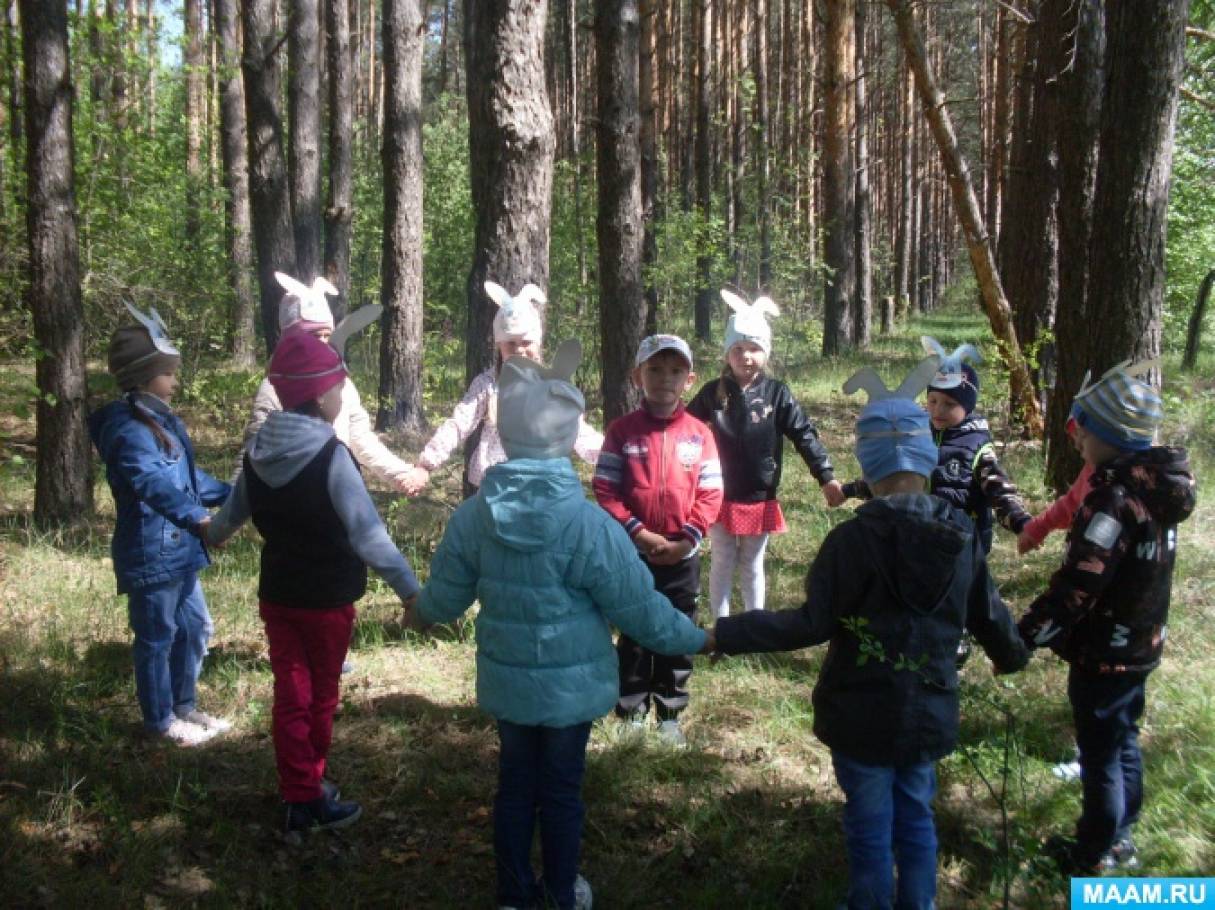 Прогулка по весеннему лесу младшая группа. Экскурсия в весенний лес. Экскурсия в лес. Экскурсия в лес для дошкольников. Экскурсия в лес весной.