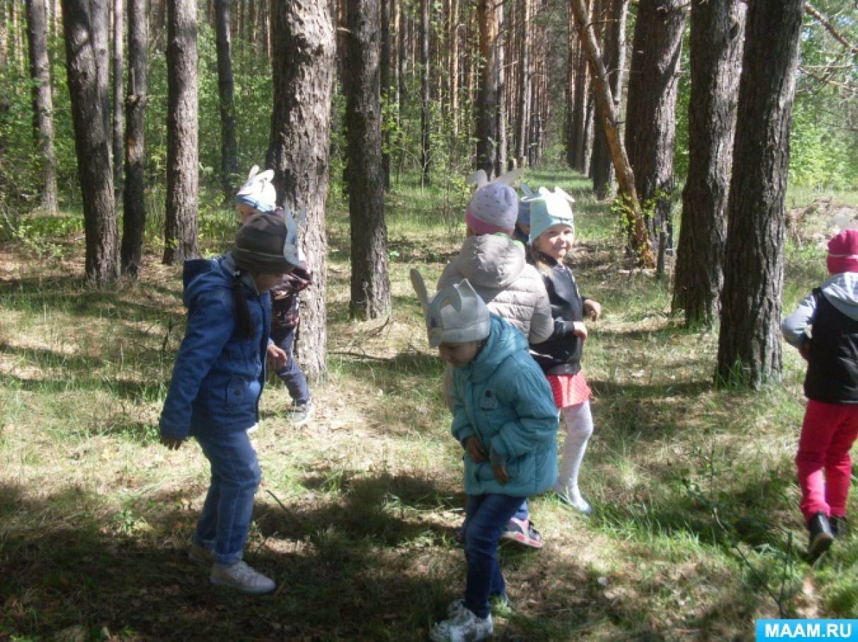 Прогулка по весеннему лесу младшая группа. Экскурсия в лес. Экскурсия в лес для дошкольников. Экскурсия в весенний лес. Экскурсия в лес весной.