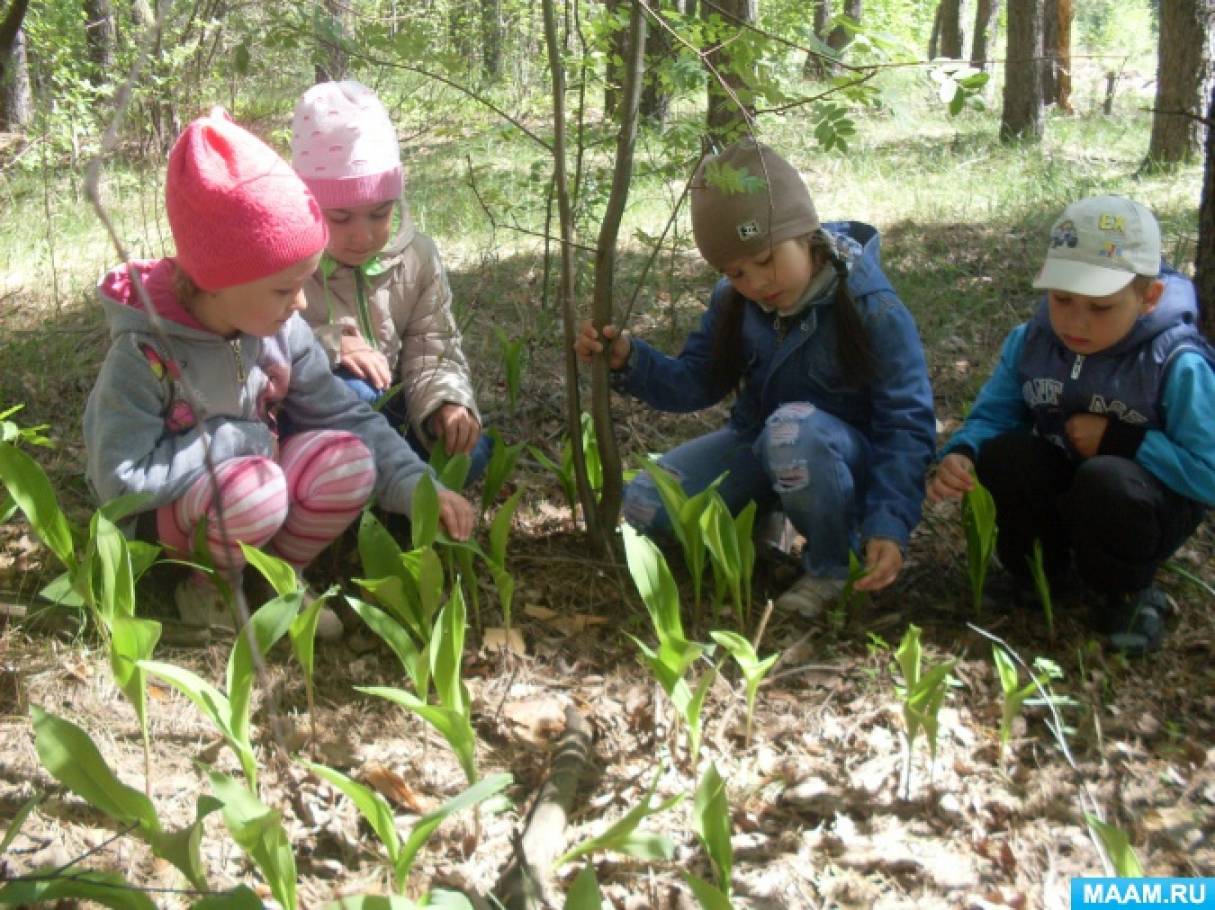 Путешествие в весенний лес 2 младшая. Дошкольники на прогулке. Экскурсия в лес для дошкольников. Дети на экскурсии в лесу. Лес весной для детей.