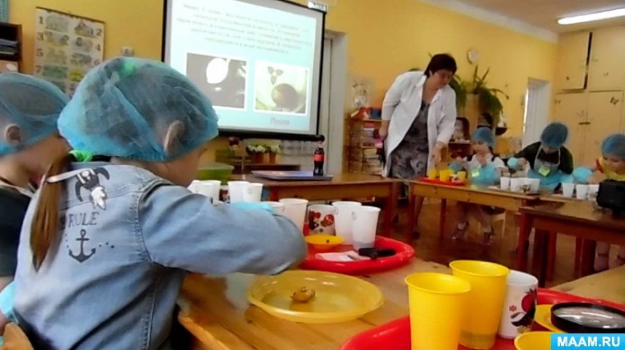 Видео и конспект опытно экспериментальной деятельности с детьми подготовительной группы «Секреты кока-колы» Фото Видео и конспект опытно экспериментальной деятельности с детьми подготовительной группы «Секреты кока-колы»