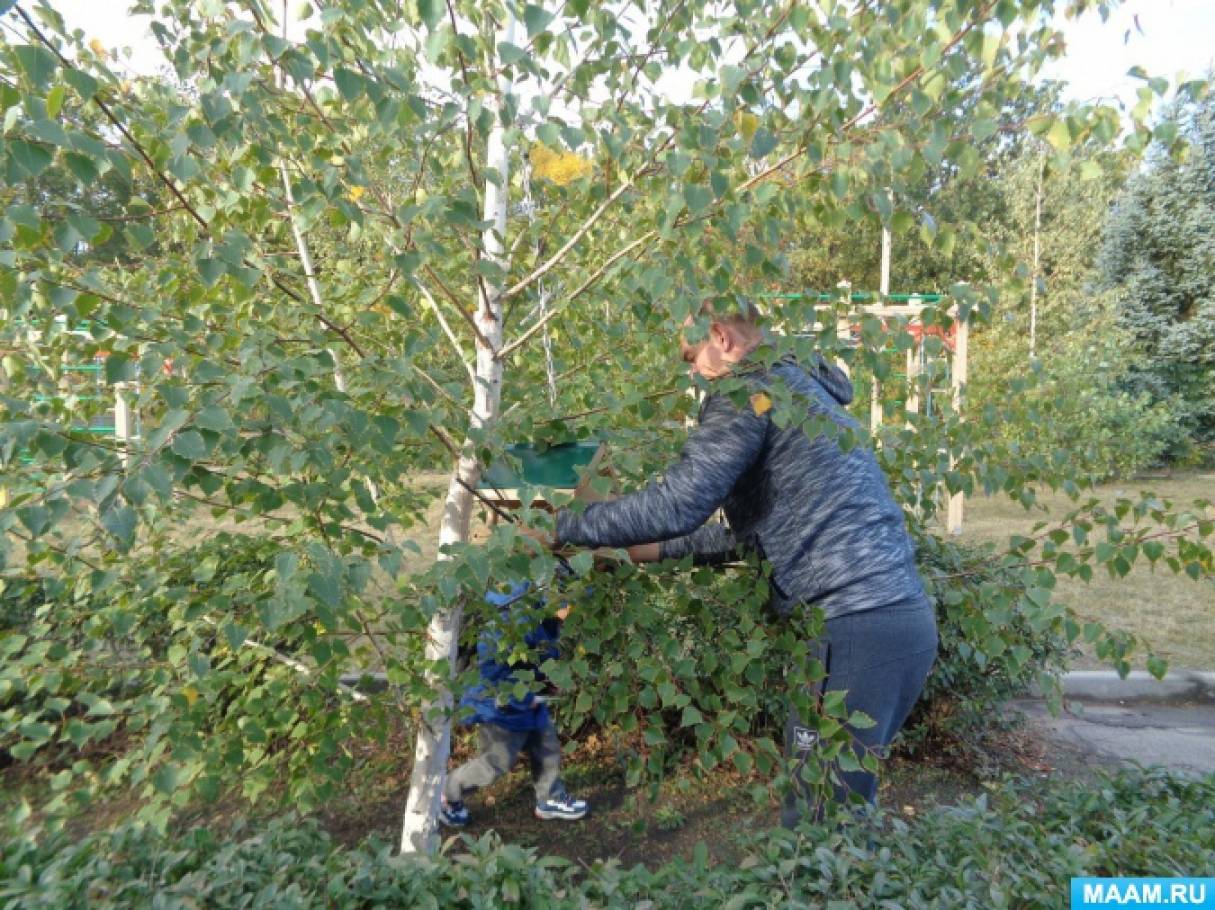 Консультация для родителей «Сделайте кормушку для птиц своими руками» Фото Консультация для родителей «Сделайте кормушку для птиц своими руками»
