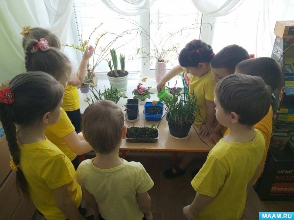 Уголок природы в подготовительной группе