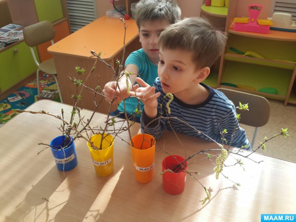 Наблюдения за растениями в детском саду. Наблюдение за растениями для дошкольников. Налюдениерастения в старшей группе. Изучаем растения с дошкольниками. Наблюдение растения в школе.