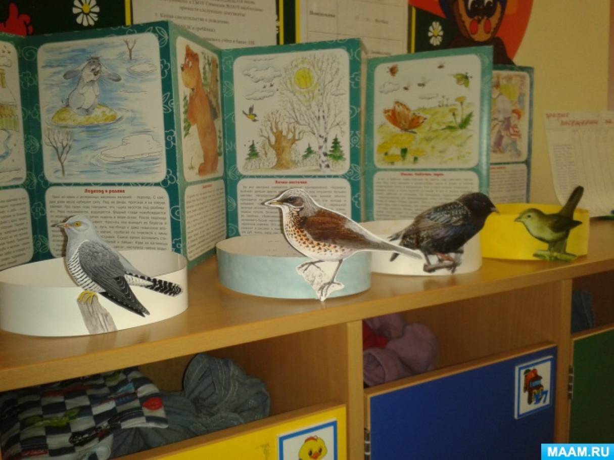 Тема недели птицы в младшей группе. Выставка птиц в детском саду. Неделя птиц в детском саду. Выставка перелетные птицы в детском саду. Птицы наши друзья младшая группа.