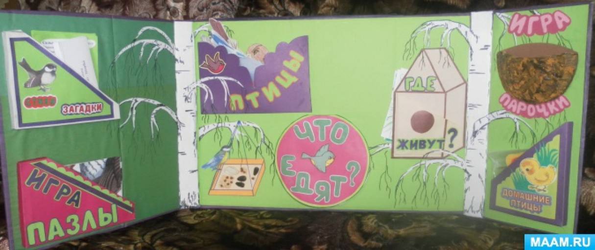 Копилка дидактических игр. Лэпбук «Птицы» Фото Копилка дидактических игр. Лэпбук «Птицы»