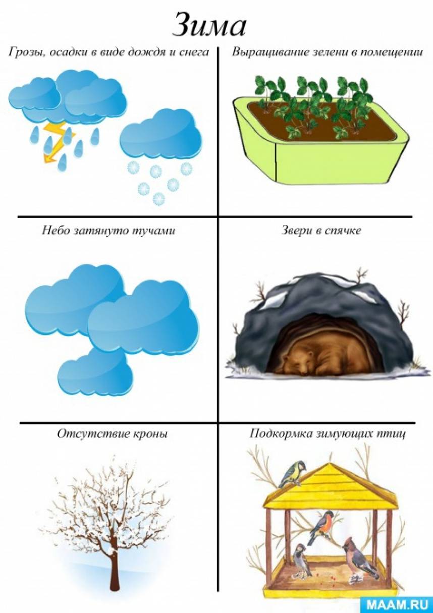 Составление описательного рассказа на тему зима. Составление описательного рассказа на тему зима. Мнемотаблицы для дошкольников по развитию речи зима. Схема составления описательного рассказа по теме северные животные. Составление рассказа по мнемотаблицам.