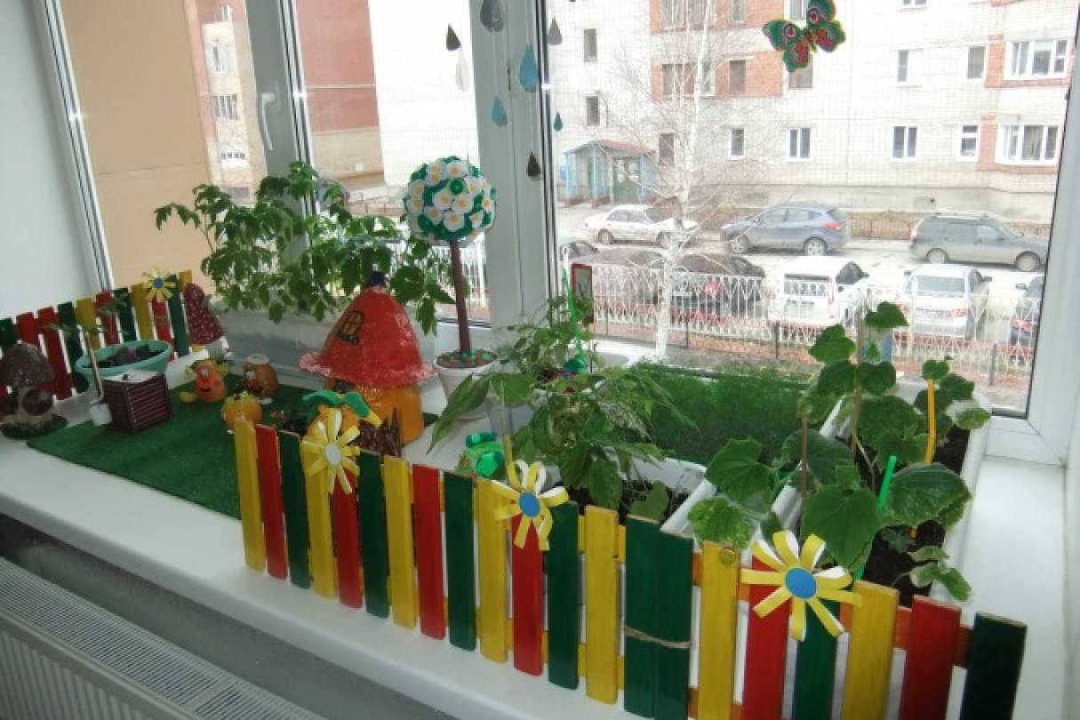 Огород на окошке Фото Огород на окошке