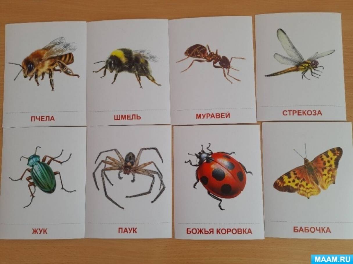 Лепка насекомые средняя группа. Нод рисование божья коровка средняя группа. Лепка в ср гр божья коровка. Лепка бабочка младшая группа. Аппликация стрекоза в старшей группе.