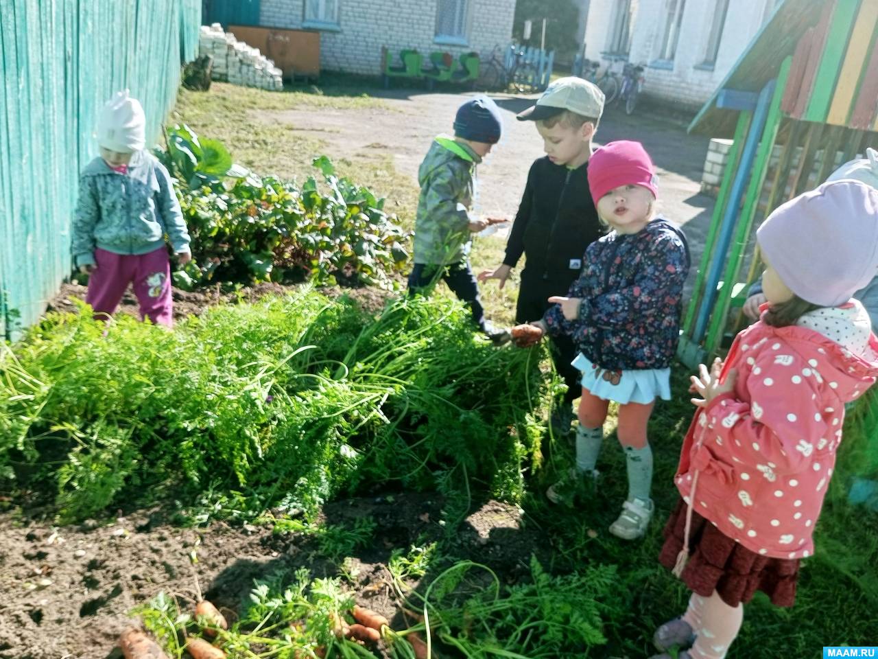 ��������� �������� ������ � ������ ��������� ������ �������� ����������� ��������