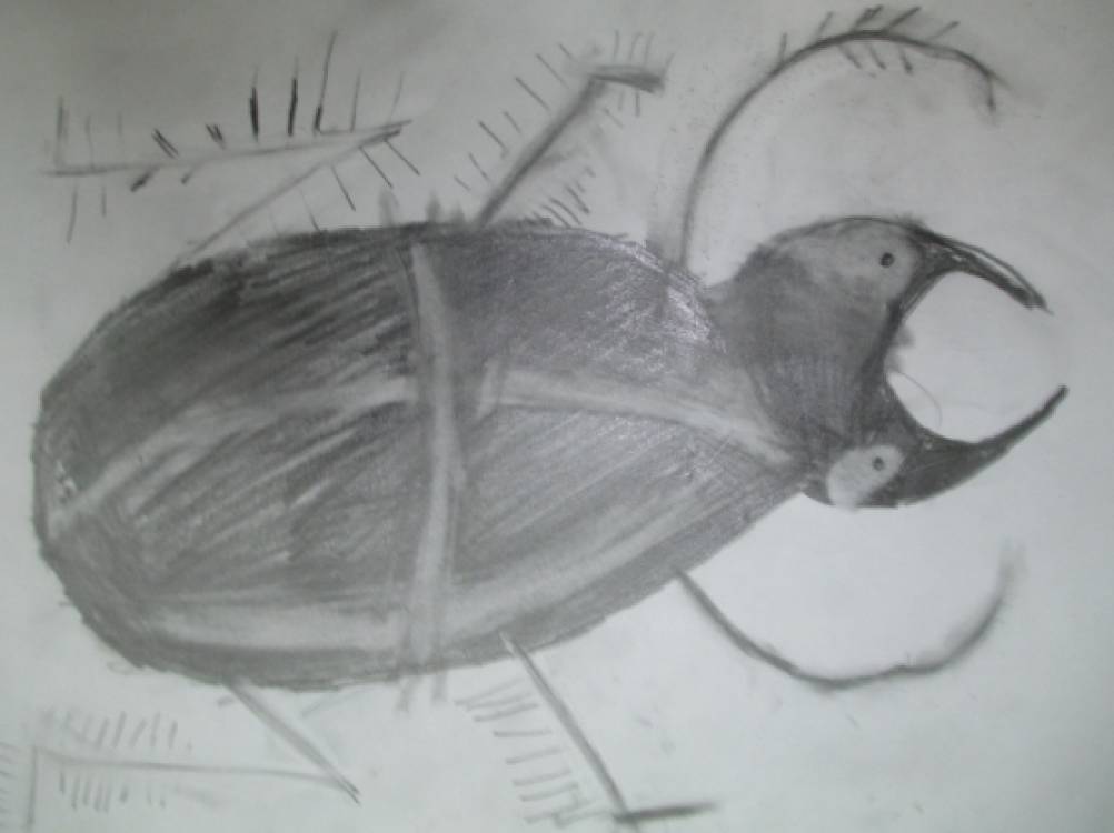 ������� �������� � ������. ������������ ��� ������������ � ��������� ��������������� �����������