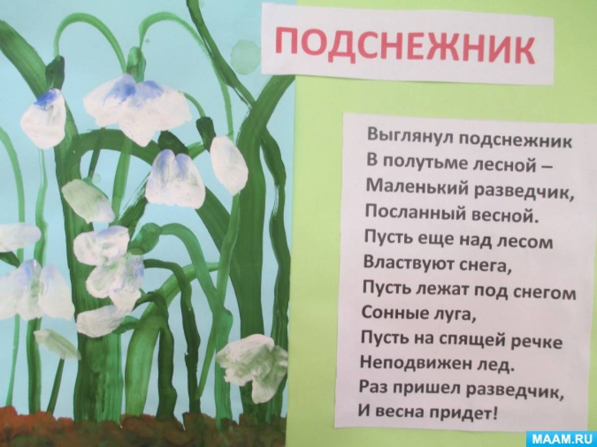 Презентация первоцветы старшая группа