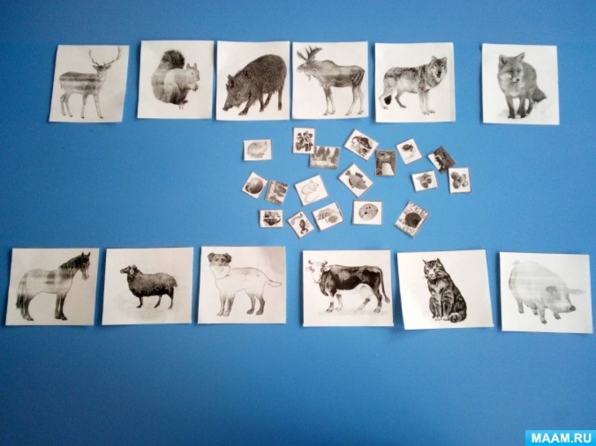 Дидактическое пособие домашние животные. Дидактическая игра кто где живет. Дидактическая игра в мире животных. Дидактическая игра мир животных. Дидактическая игра дикие и домашние животные.