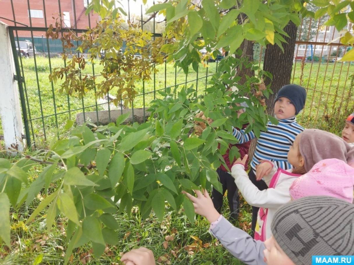 Фото Взрослое На Природе Фото Взрослое На Природе