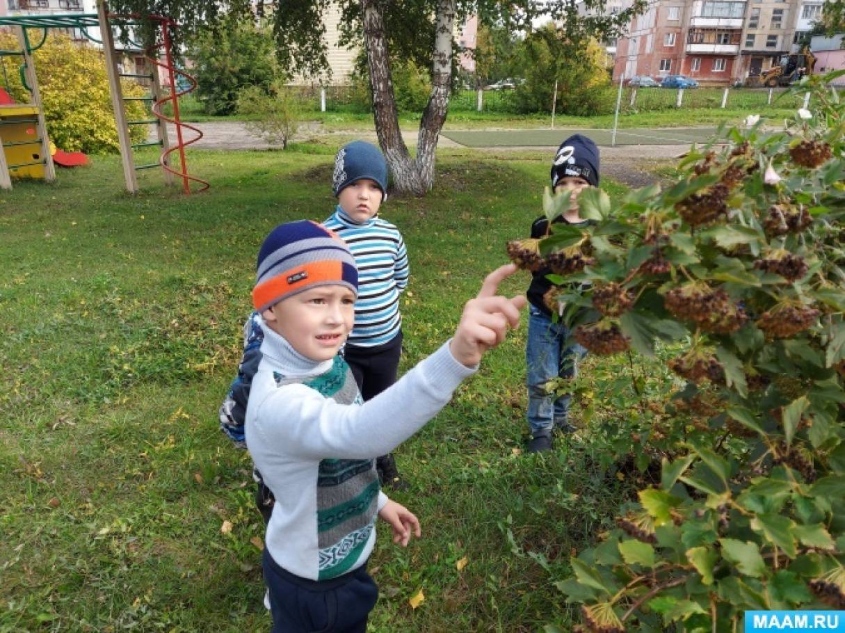 Фото Взрослое На Природе