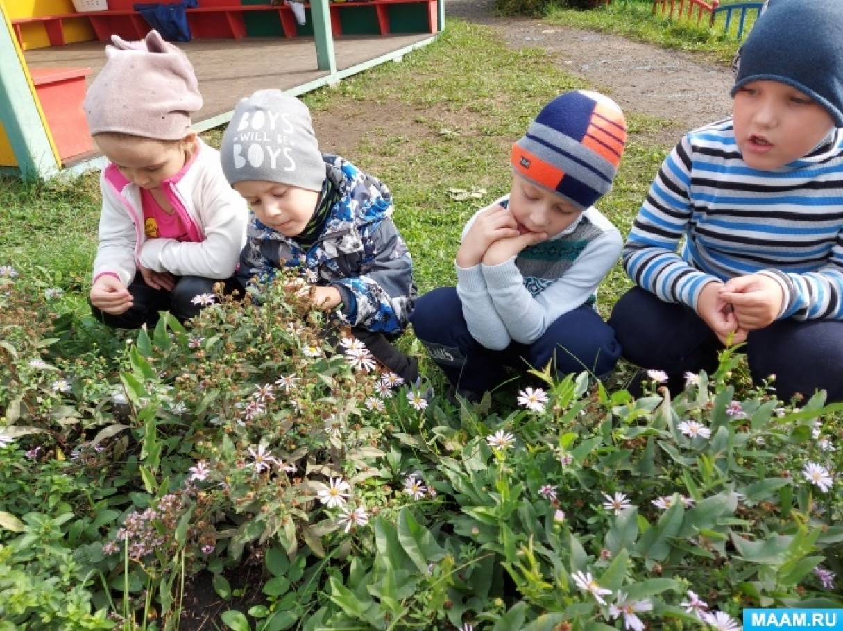 Фото Взрослое На Природе Фото Взрослое На Природе