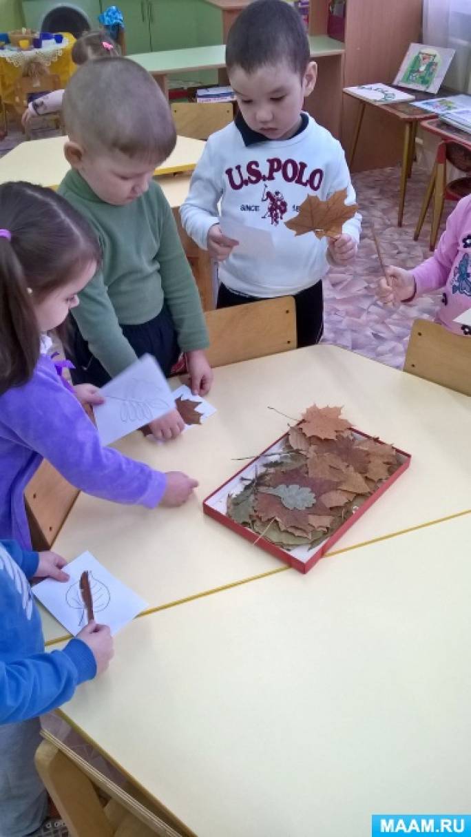 Смотреть фотографию №4 Фото №4 Закреплять умение выбирать нужный листик с опорой на модель воспитывать бережное обращение с засушенным материалом активизировать в речи понятие хрупкий