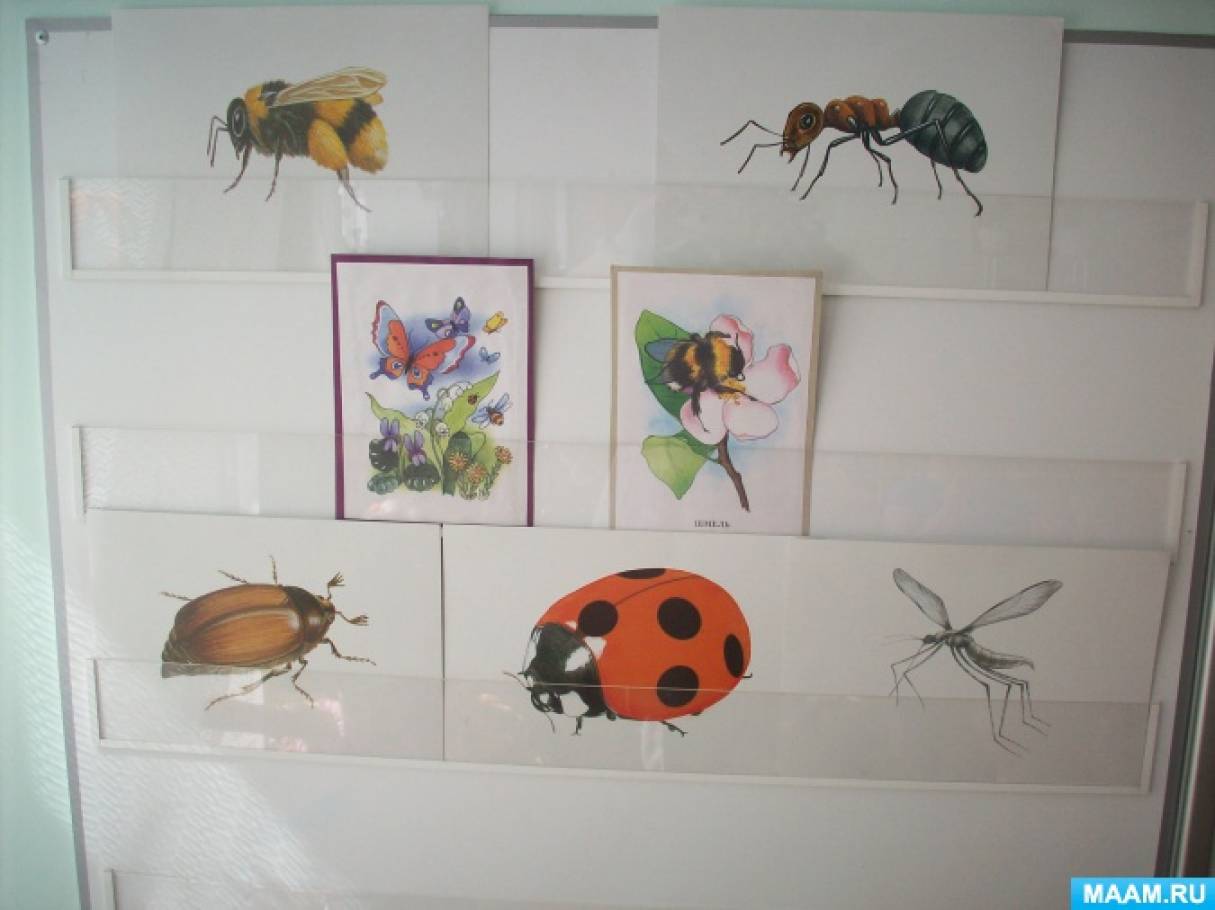 Комаров подготовительная группа по фгос. Рисование насекомые в подготовительной группе. Рисование по теме насекомые в подготовительной группе. Рисование в подготовительной группе насекомые карандашами. Математика насекомые подготовительная группа.