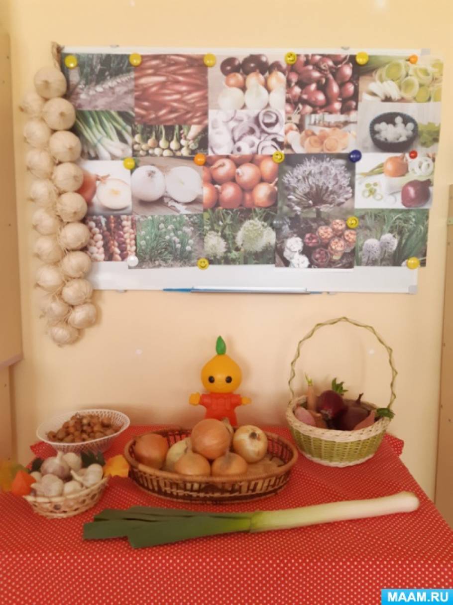 Конспект занятия для средней группы «Лук — от семи недуг» Фото Конспект занятия для средней группы «Лук — от семи недуг»