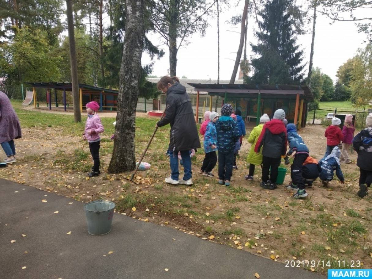 Смотреть фотографию №2 Фото №2 Рудни Смоленской области ЛесПобеды ЗелёнаяРоссия С по сентября года в рамках эколого патриотического проекта Лес Победы проводится