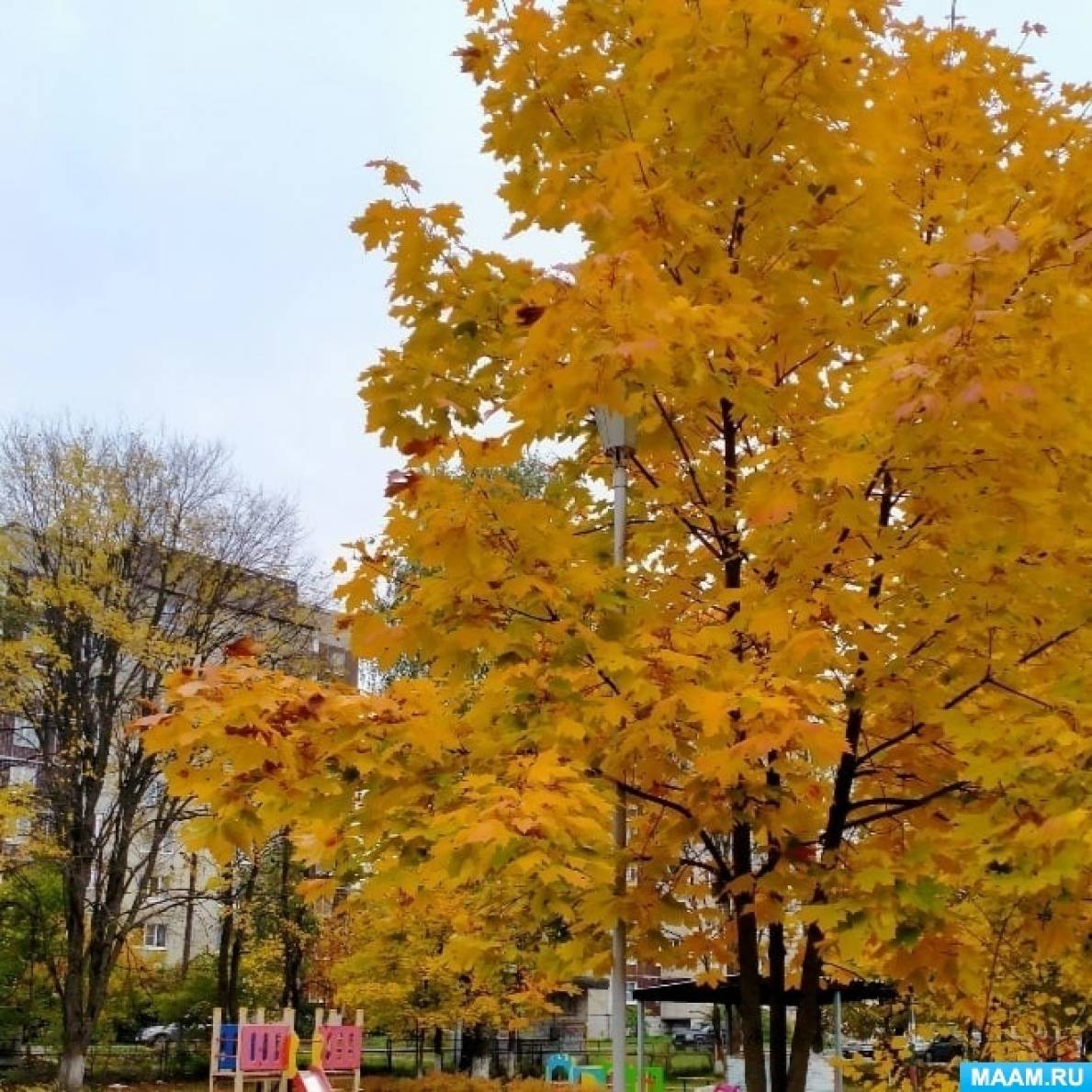 Фотоотчет по аппликации во второй младшей группе «Осеннее чудо-дерево» в технике «обрывная аппликация»