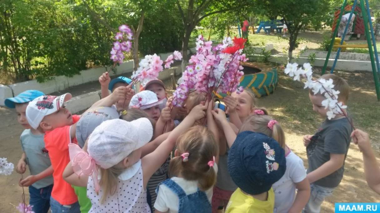 Проект «Цветы на подоконнике и на клумбе» Фото Проект «Цветы на подоконнике и на клумбе»