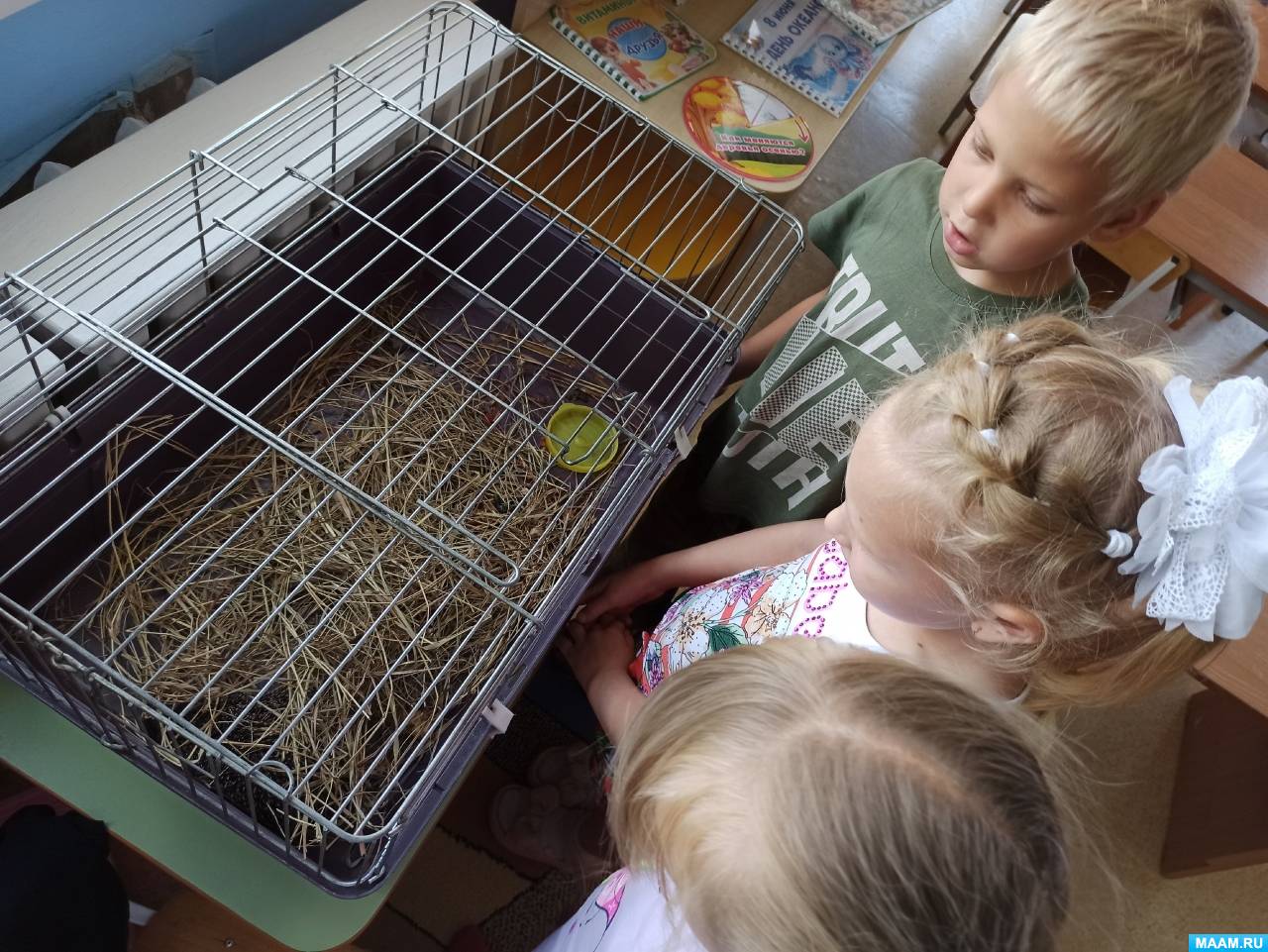 ���������� �� ������ � ������ ������� ������. ���������