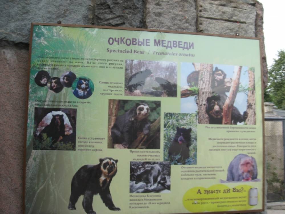 Смотреть фотографию №4 Фото №4 Вот и мы приехав в Москву первым делом посетили зоопарк