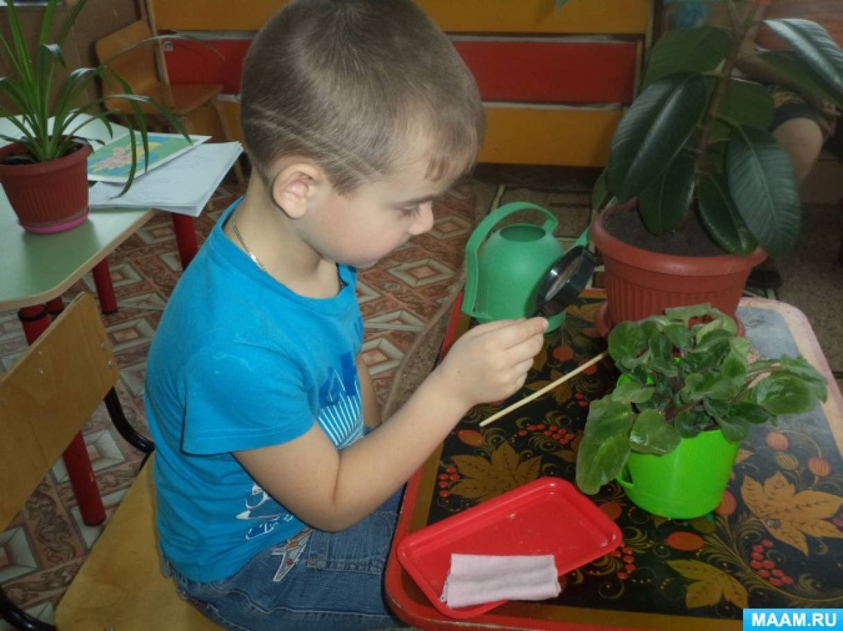 Наблюдения за растениями в детском саду. Комнатные цветы для подготовительной группы. Дети наблюдают за растениями. Дети рассматривают комнатные растения. Наблюдение за растениями в детском саду.