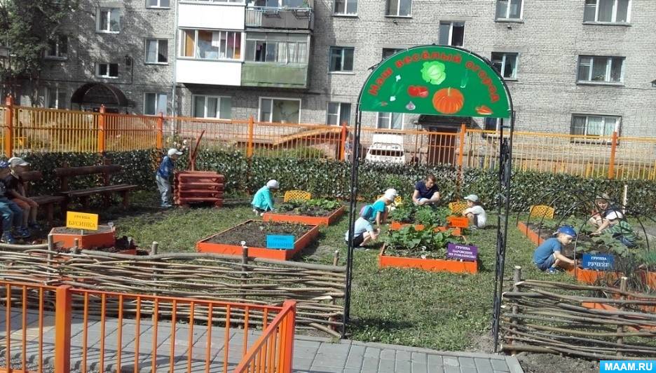 Экскурсия на огород ДОУ весной и экологическое воспитание детей путем посадки овощей и растений