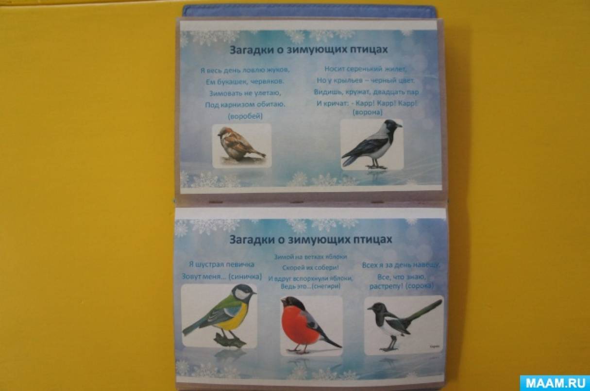 День птиц в младшей группе отчет. Альбом зимующие птицы. Лэпбук зимующие птицы. Альбом для ясельной группы зимующие птицы.