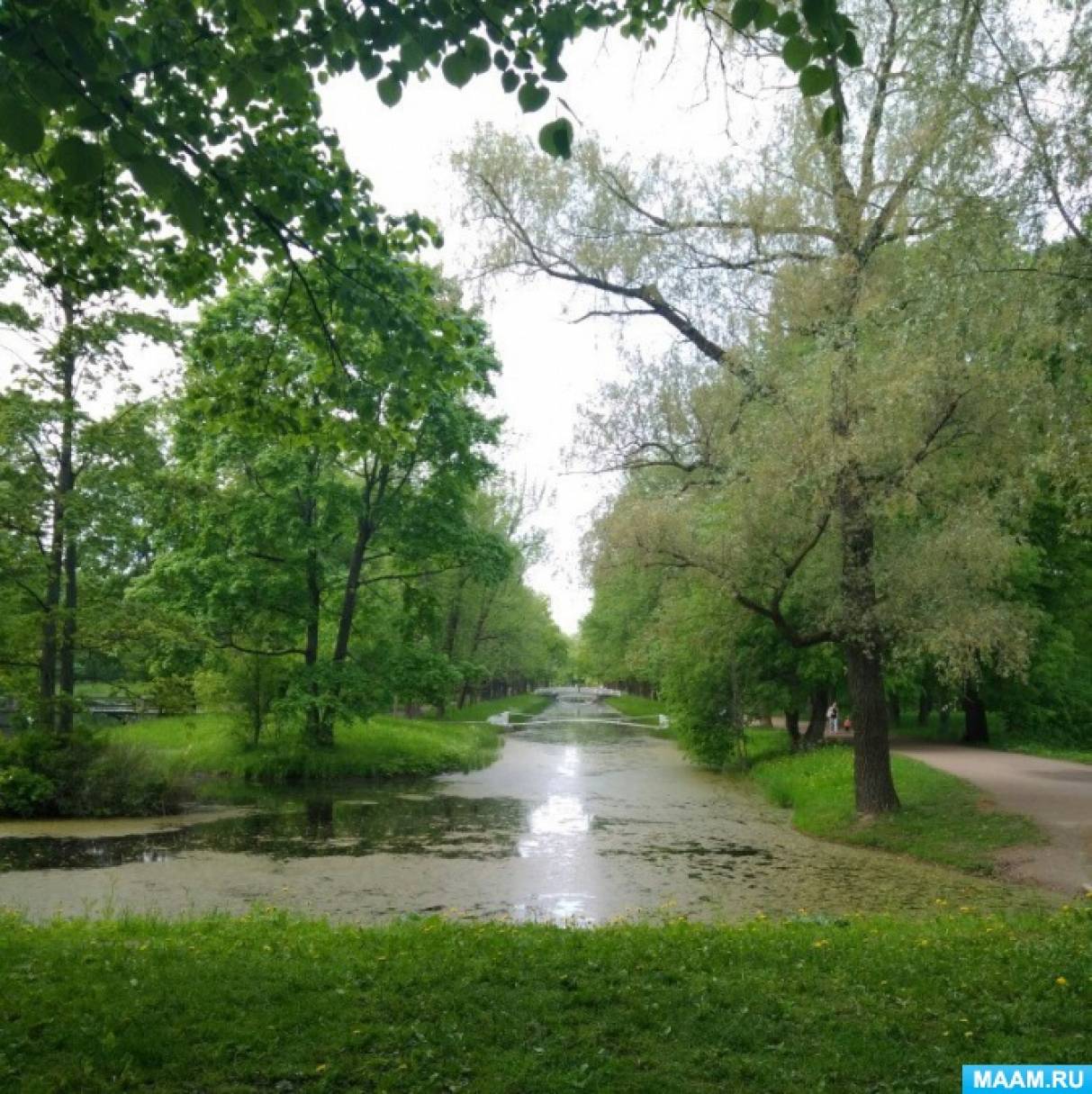 «Уроки Сентябринки». Экологическая сказка. Глава 12. Фото «Уроки Сентябринки». Экологическая сказка. Глава 12.