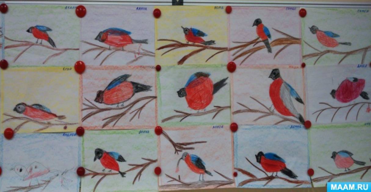 Конспект Занятия Знакомство С Зимующими Птицами