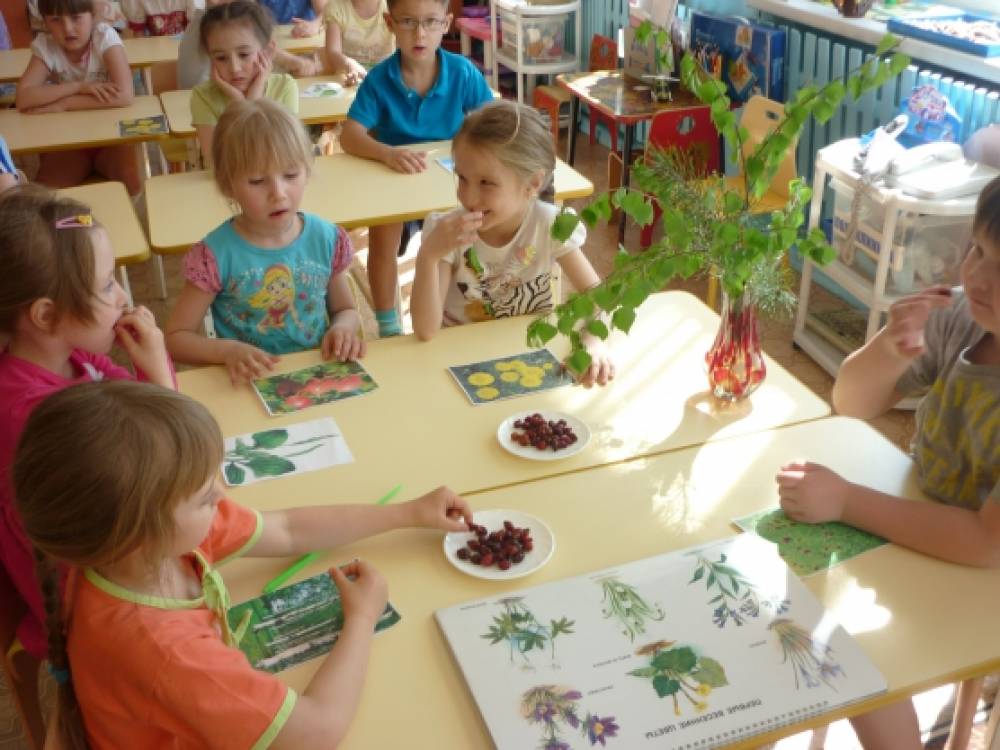 Средняя группа занятие мир природы. Занятие по экологии в подготовительной группе. Занятие по экологии в ДОУ. Занятия по экологии в детском садике. Дети в саду на занятии по экологии.