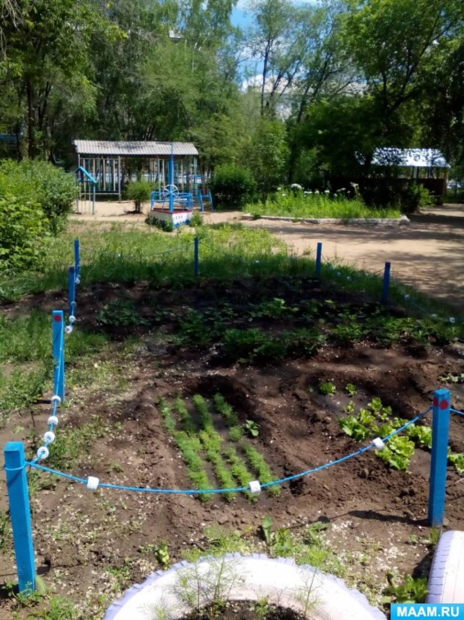 Чудо-огород в детском саду