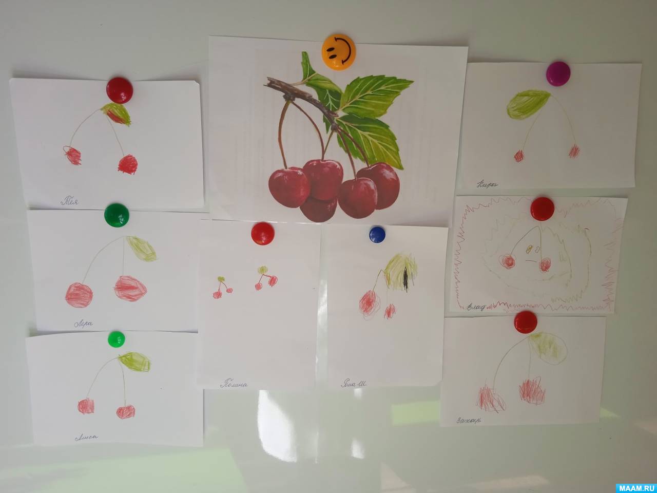 Конспект занятия по рисованию «Ветка вишни» в средней группе