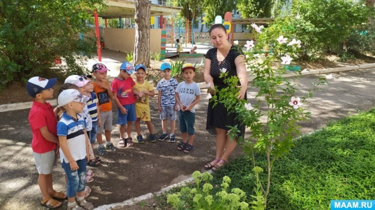 Консультация для воспитателей «Ознакомление дошкольников с природой летом»